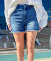 Heidi - High Waist V Front Judy Blue Shorts