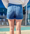 Heidi - High Waist V Front Judy Blue Shorts