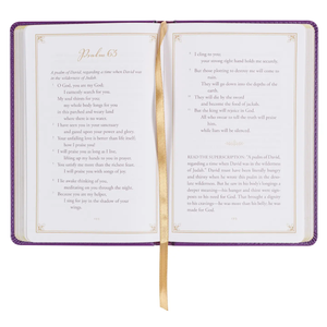 Devotional Praying the Psalms Faux Leather